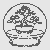 Stilvoller runder Tisch mit bonsai umgeben von Äpfeln Ausmalbild für fantasievolle Naturfreunde und kleine Kunstschaffende