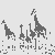 Grazile Giraffen am glitzernden Wasser Ausmalbild für kreative Tierfreunde
