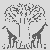 Giraffen unter dem schattigen Apfelbaum Malvorlage für neugierige Naturfreunde