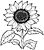 Sonnenblume Ausmalbild