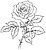 Einzelne Rose Ausmalbild