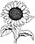 Ausmalbild Sonnenblume